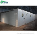 for quick industrial cold storage room , industrial freezer room for fruit , industrial blast freezer